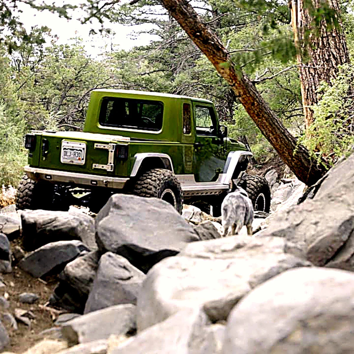 JK-JKU Octa Chop Rear Bumper – Nemesis Industries